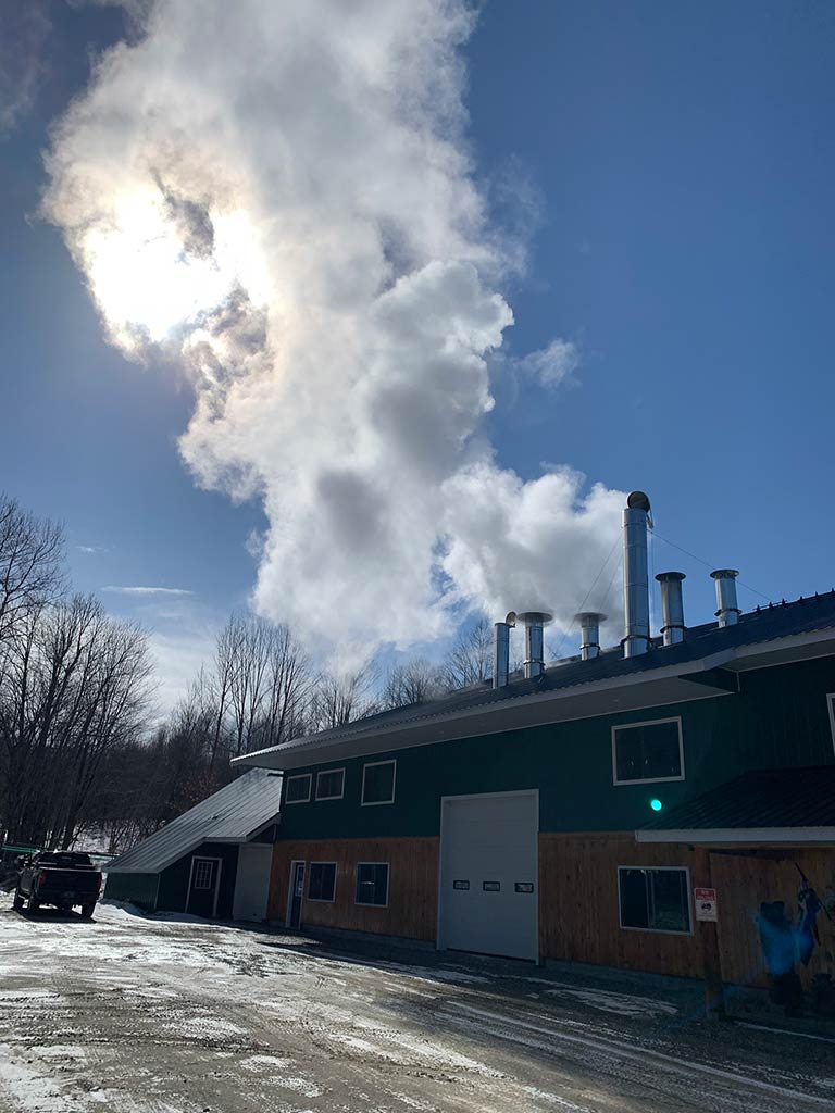 A photo showing steam coming rising above the roof of a sugarhouse